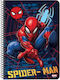 Diakakis Spiral Notebook Ruled B5 60 Sheets 2 Subjects Red 1pcs