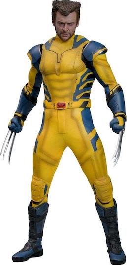 Hot Toys Marvel Deadpool Hot Toys Masterpiece Wolverine Action Figure Height 31cm in Scale 1:6