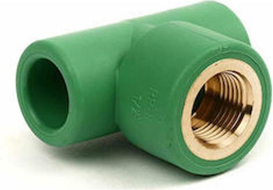 Thermofusion Female PPR Pipe Tee F20 X 1/2"