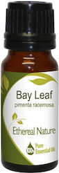 Laurel Essential Oil 10ml