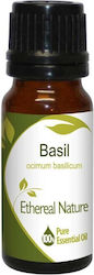 Basil Essential Oil 10ml