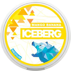 Iceberg Chewing gum 20pcs