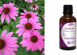 Ethereal Nature Tinktur Echinacea 50ml