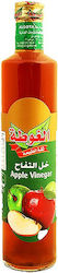 Algota Apfelweinessig 500ml