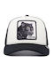 The Panther Jockey BLACK & WHITE