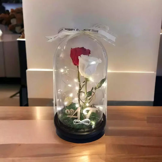 Eternal Rose 25cm in Yala