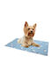 Camon Sofa Dog Bed Cooling 65x50cm.