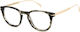 David Beckham Γυναικείος Σκελετός Καφέ DB 7122 8GX