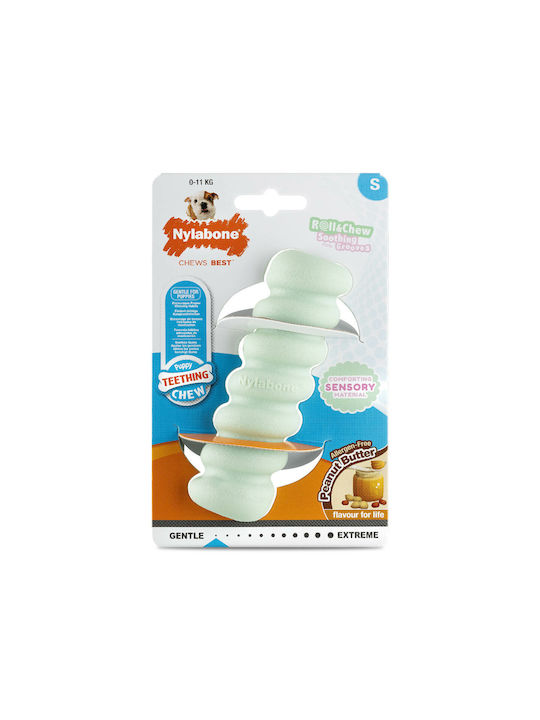 Nylabone Schulungs Hundespielzeug Klein Grünes