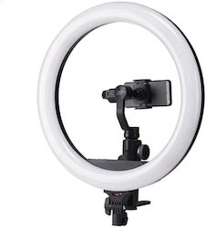 Tolifo R-1948B RGB Ring Light Tolifo R-1948B RGB Ring Light