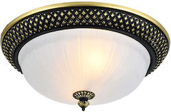 Led7 Ceiling Light Bathroom Led7 Ceiling Light Bathroom