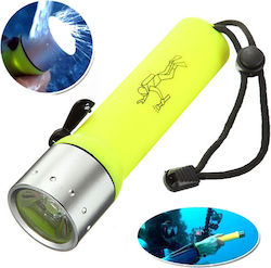 Cree Code 1959 LED Flash Light 500lm