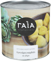 Gaea Artichoke 2500gr