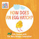 How Does An Egg Hatch?