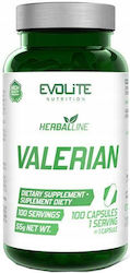 Evolite Βαλεριάνα 450mg 100 κάψουλες Evolite Βαλεριάνα 450mg 100 κάψουλες
