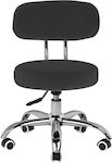 Salon Stools Scaun