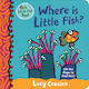 Where Is Little Fish?