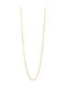 Kritsimis Silver Chain Neck Gold-plated