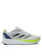 Adidas Duramo SL Sport Shoes Running Gray