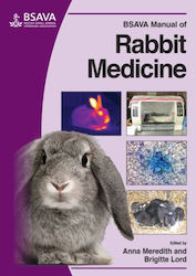 Manual Of Rabbit Medicine