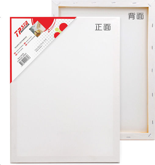 Tpster Leinwand auf Keilrahmen Weiß Rechteckig 30x50cm 1Stück