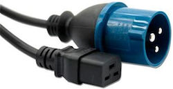 Удължителен кабел за захранване Intronics Ak5021 IEC 60309 2P+E мъжки към IEC 60320 C19 женски 2.5м черен Ak5021 Удължителен кабел за захранване Intronics Ak5021 IEC 60309 2P+E мъжки към IEC 60320 C19 женски 2.5м черен Ak5021