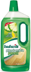 Ludwik Curățător Pete Ludwik Curățător Pete