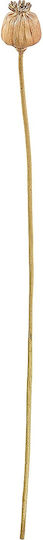 Ramură Decorativă Artificială Brown 55cm ArteLibre
