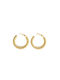 Loop Earrings Twist Circle Gold