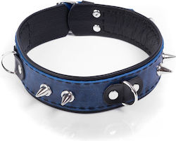 Halsband in Blau Farbe