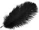 Grajmy razem Love Feather Feather for Tickling in Black Color