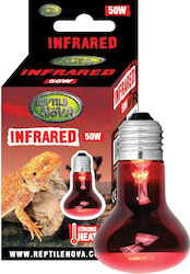Reptile Nova Heating Accessory for Reptiles Terrarium