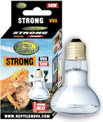 Reptile Nova Accessory for Reptiles Terrarium