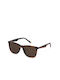 Fila Sunglasses with Brown Tartaruga Plastic Frame and Brown Lens SFI461 D82P