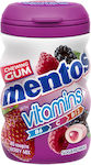 Mentos Chewing gum Vitamins 6pcs 90gr