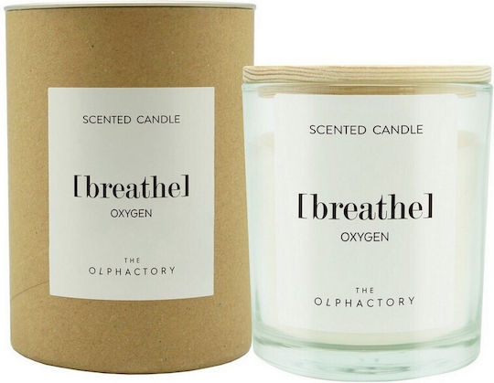 Ambientair Aromatice Borcan Maro Ambientair Aromatice Borcan Maro