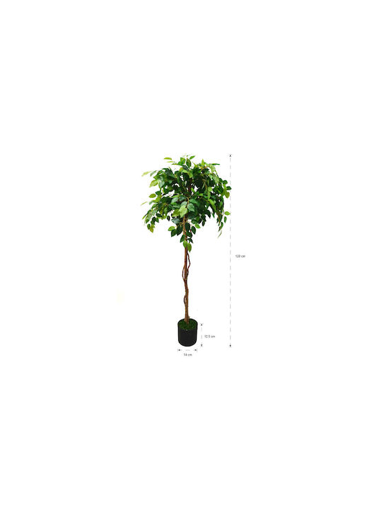 Εξωτερικού Χώρου 70cm Home & Camp