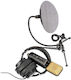 Eikon EKSBTWO Kondensatormikrofon USB Tischplatte
