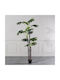Artificial Outdoor Tree Monstera Green 210cm Supergreens