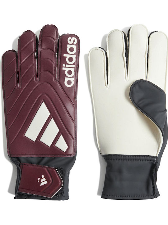 adidas Copa Gl Clb Adults Goalkeeper Gloves Purple