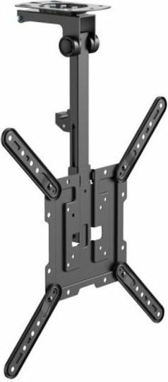 Equip 650375 Wandhalterung für Fernseher bis 55" und 20kg