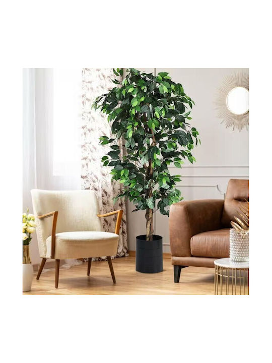 Φίκος Εξωτερικού Χώρου 150cm Gardin