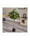 Λεμονιά Εξωτερικού Χώρου 150cm με LED Gardin