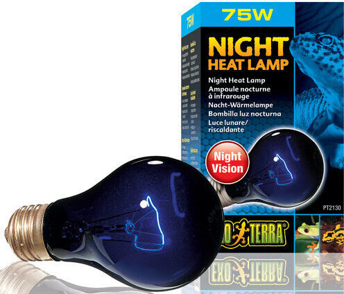 Exo Terra Night Heat Accessory for Reptiles Terrarium