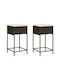 Gartenhocker Für Bar Außenbereich Rattan mit Kissen Braune 2Stücke 40x40x76cm