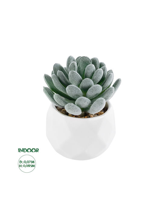 Globostar Grădină Artificială Suculentă Sedeveria 21001 Plantă Decorativă Suculentă Sedeveria H9.5cm