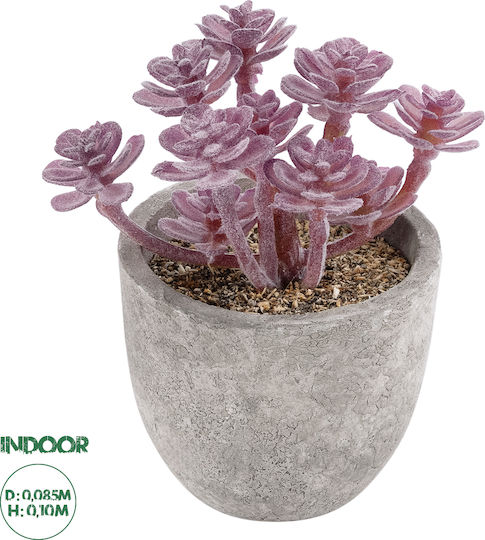 Globostar? Artificial Garden Succulent Sedum 21017 Διακοσμητικό Φυτό Παχύφυτο Σέδο Υ10cm Globostar? Artificial Garden Succulent Sedum 21017 Διακοσμητικό Φυτό Παχύφυτο Σέδο Υ10cm