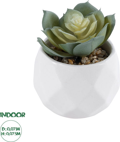 Globostar? Artificial Garden Succulent Echeveria 20980 Διακοσμητικό Φυτό Παχύφυτο Εχεβέρια Υ7.5cm