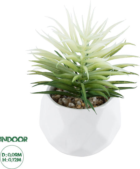 Planta decorativă artificială Globostar Suculent Grădină Senecio 20997 Suculent Senecio H12cm Planta decorativă artificială Globostar Suculent Grădină Senecio 20997 Suculent Senecio H12cm