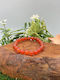 Kids Bracelet with Stones